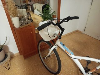 Bicicleta blanca con cesta