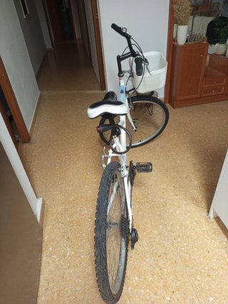 Bicicleta blanca con cesta