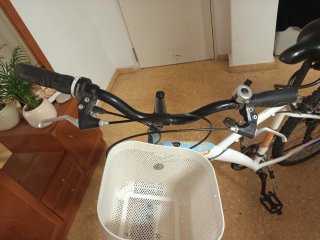 Bicicleta blanca con cesta