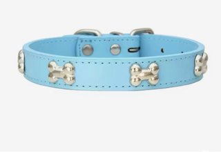 Collare per cane celeste lungo 53cm alto 2/5cm