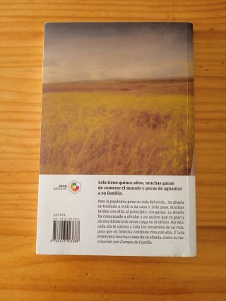 Cartas a Leonor - Rosa Huertas. Novela juvenil.