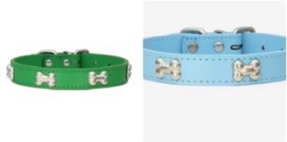 2 Collari per cane verdi e celesti