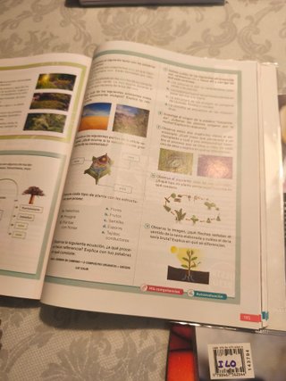 Biología y Geología : 1o ESO : Revuela