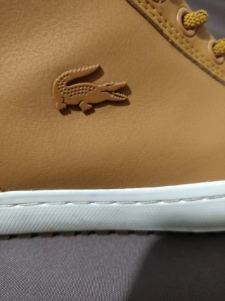 Zapatillas Lacoste de calidad