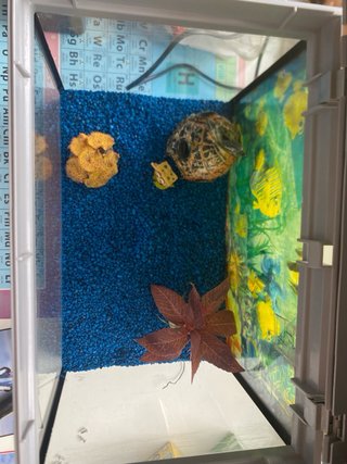 Acuario 23L completo con filtro