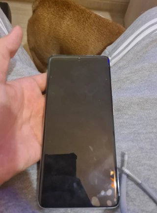 Samsung S21 Ultra 5G Negro Poco Rayado