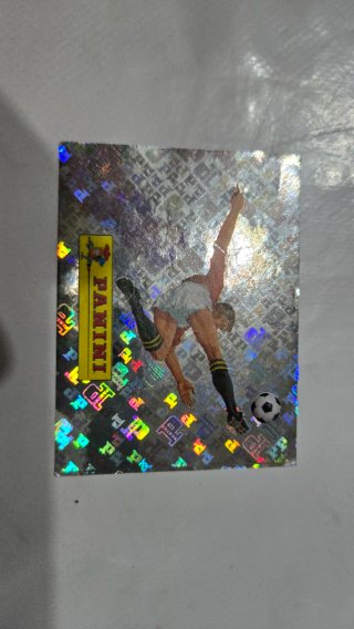 Cromo Panini Mundial 00