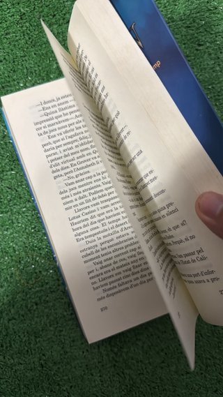 El lladre del llampec