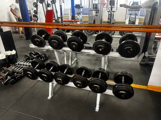 Mancuernas profesionales gimnasio 12-25 kg + rack