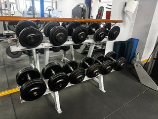 Mancuernas profesionales gimnasio 12-25 kg + rack