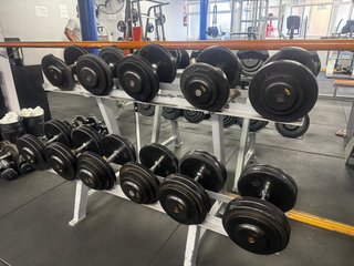 Mancuernas profesionales gimnasio 12-25 kg + rack