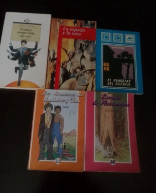 Lote de Libros