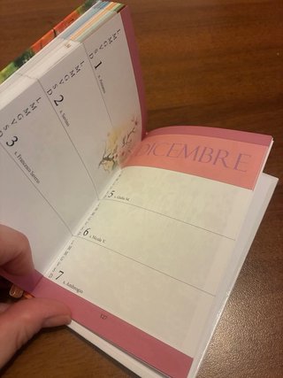 Agenda Annuale Spam Pittorica