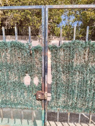 Puerta hierro