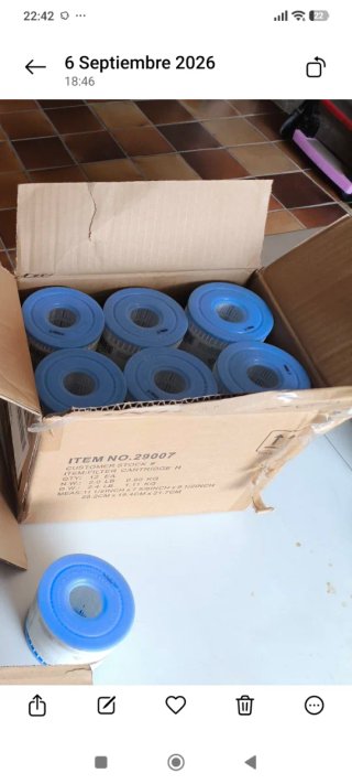 Pack 7 filtros piscina Intex tipo H