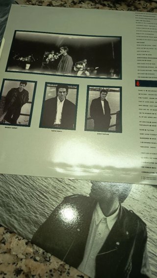 LP Bryan Adams Into the Fire 1987