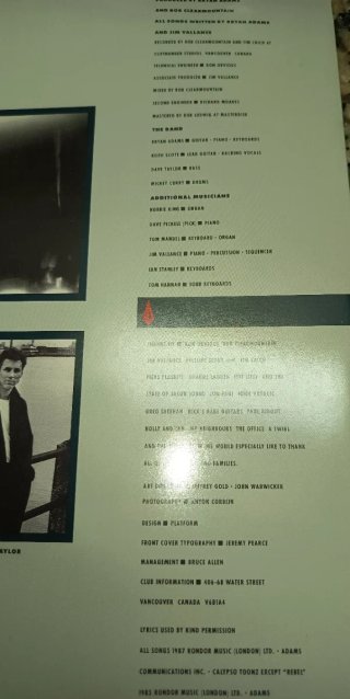 LP Bryan Adams Into the Fire 1987