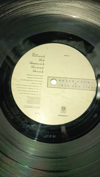 LP Bryan Adams Into the Fire 1987
