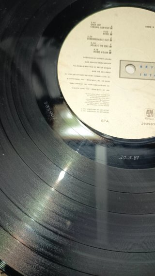 LP Bryan Adams Into the Fire 1987