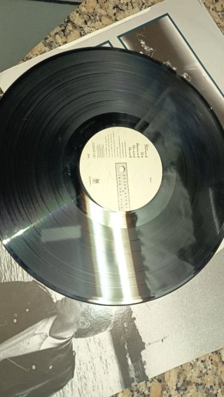 LP Bryan Adams Into the Fire 1987