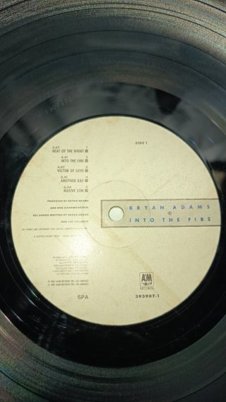 LP Bryan Adams Into the Fire 1987