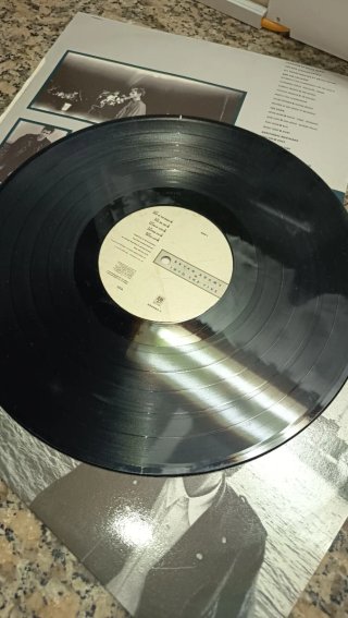 LP Bryan Adams Into the Fire 1987