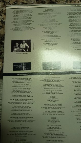 LP Bryan Adams Into the Fire 1987