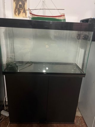Acuario 250L con Mueble y Filtro incluidos