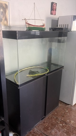 Acuario 250L con Mueble y Filtro incluidos