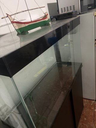 Acuario 250L con Mueble y Filtro incluidos