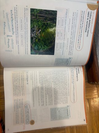 Lengua 4 Primaria : Operación Mundo