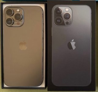 iPhone 13 Pro Max 256GB Gris