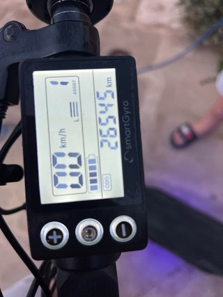 Patinete Eléctrico SmartGyro