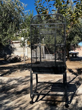 Jaula para loro grande