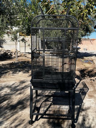 Jaula para loro grande