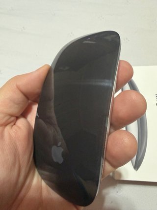 Magic Mouse USB-C Negro