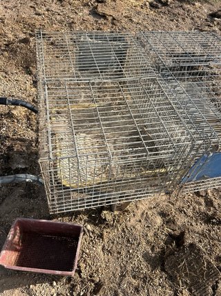 Jaulas metálicas para animales