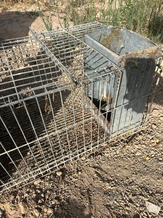Jaulas metálicas para animales