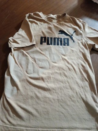 Camiseta Puma Beige