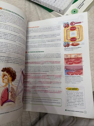 Biología, Geología y Ciencias Ambientales 1 Bac...