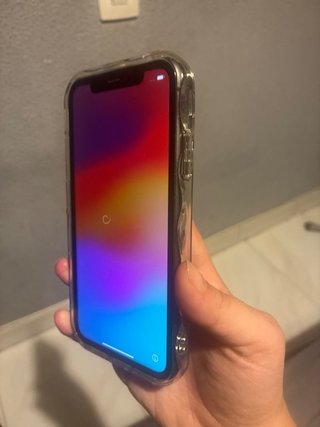 iPhone 11 Multicolor