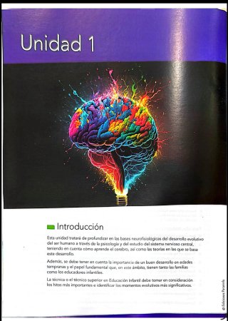 libro desarrollo cognitivo