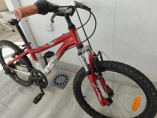 Bicicleta 20 pulgadas niño