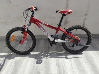 Bicicleta 20 pulgadas niño