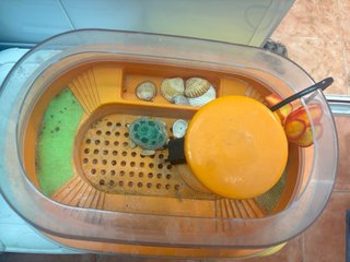 Terrario Tortuga con Accesorios