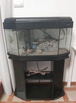 Acquario completo con mobile