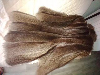 Marmotta taglia 44/50