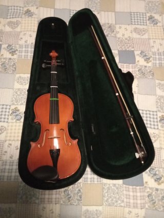 Violín 4/4 Nuevo