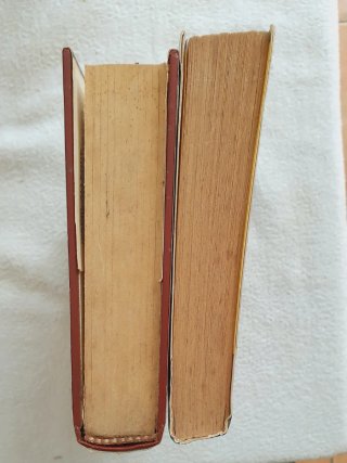 Due romanzi di Isabel Allende