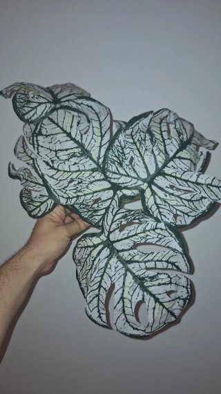 Plantas artificiales decorativas